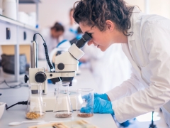 Noticia: Carreras de Ciencias e Ingeniería cuentan con Ingreso Especial para mujeres en la PUCV