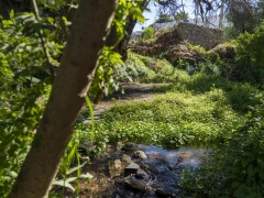 Noticia: Quilpué avanza en la protección ambiental con nueva ordenanza de humedales