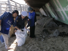 Noticia: Más de 400 kilos de desechos   se recogieron en limpieza de   Playa Caleta Abarca   