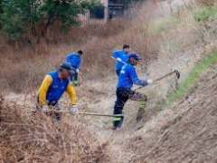 Noticia: Vecinos e instituciones buscan evitar incendios forestales en la población El Olivar de Viña del Mar