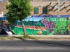 Noticia: XII Encuentro de Murales llenó de colores La Calera