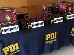 Noticia: PDI detiene a dos personas tras indagatorias por millonario robo de frutas de exportación en San Antonio