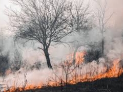 Noticia: Autoridades refuerzan medidas de prevención para evitar incendios forestales en la región de Valparaíso