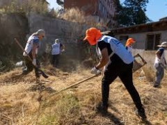 Noticia: En Viña del Mar se reforzó plan preventivo de incendios forestales