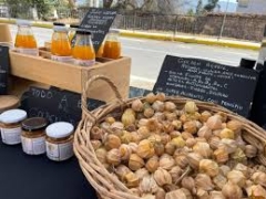 Noticia: Miles de personas celebraron la identidad rural en la Primera Expo Rural 2025 en Petorca
