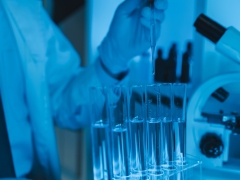Noticia: Con investigación de excelencia PUCV aporta al desarrollo de la región y el país 