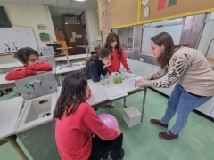 Noticia: Invitan a formar parte del Comité Asesor de las Academias Explora 2025