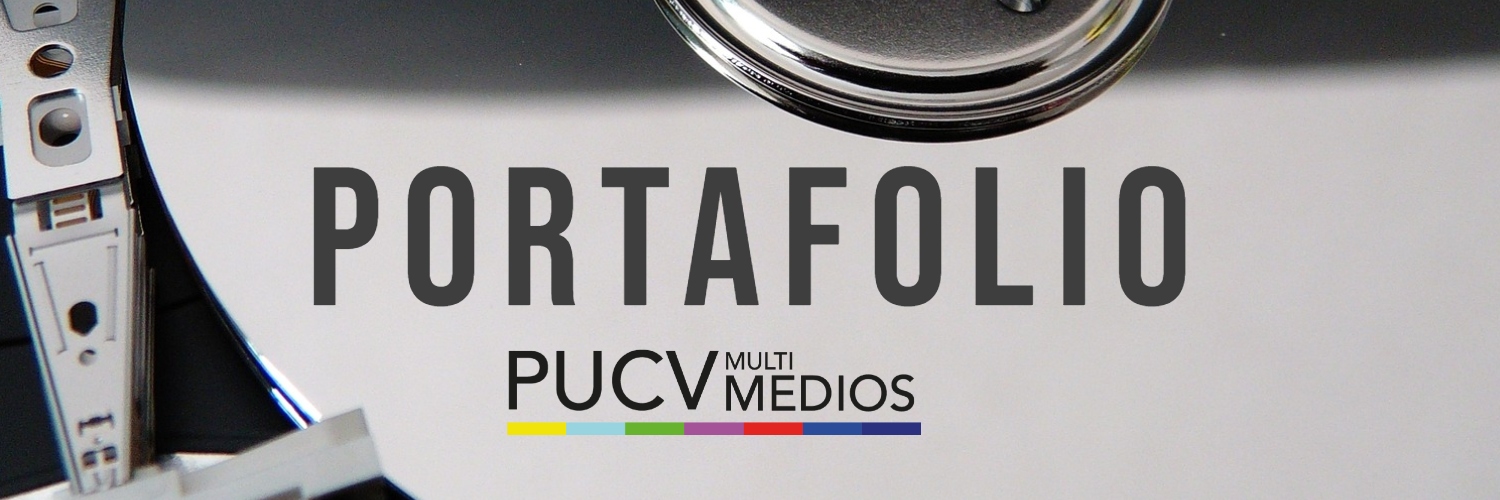 Portafolio PUCV